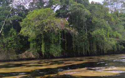Anuncian cierre de playas en Ecuador tras derrame de petróleo