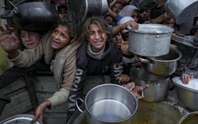 CICR advierte de colapso total de Gaza y Amnistía denuncia genocidio