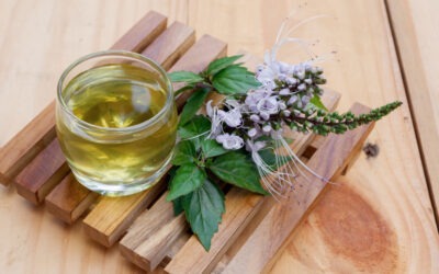 Un té hecho con una hierba poco conocida puede ayudar con problemas de riñón y reducir la tensión arterial