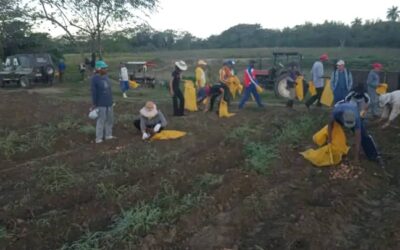 Entregan aportes significativos de alimentos trabajadores de la unidad Capitán Lawtón