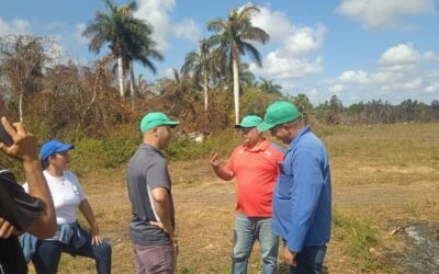 Instan a aprovechar la humedad de los suelos para mayor siembra de alimentos