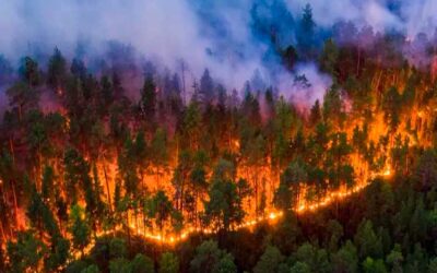 Incendios forestales amenazan localidad del ferrocarril transiberiano