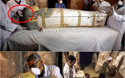 ¡Arqueólogos encuentran un misterioso ataúd negro gigante que data de hace 3000 años, desenterrado en Egipto, provocando curiosidad y miedo en todo el mundo!