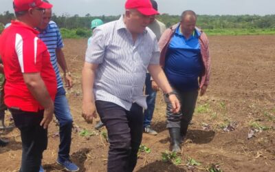 Viceprimer ministro cubano Tapia Fonseca conversa con trabajadores pineros