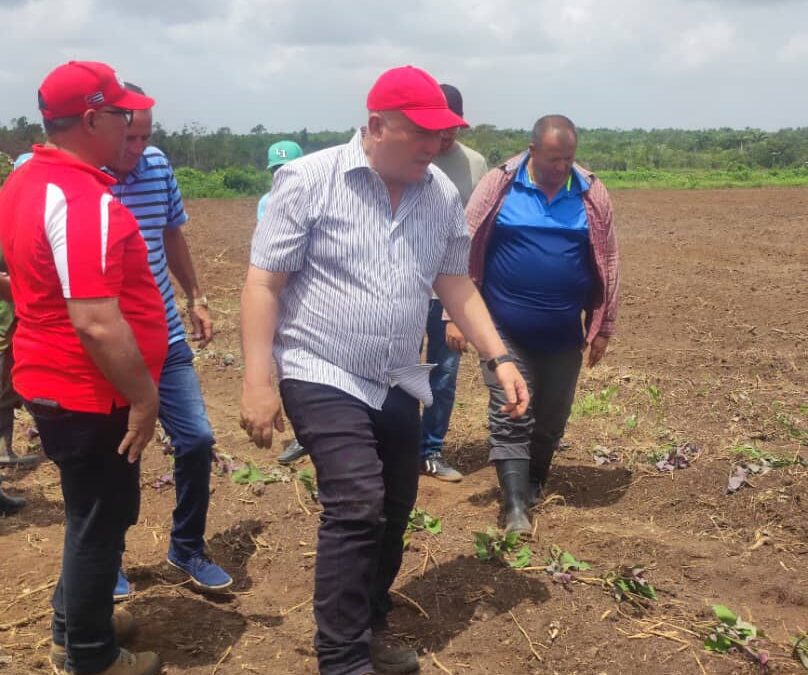 Viceprimer ministro cubano Tapia Fonseca conversa con trabajadores pineros
