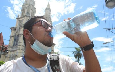 Olas de calor: supervivencia mundial en sofoco
