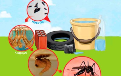 Combatir el Dengue, es tarea de todos