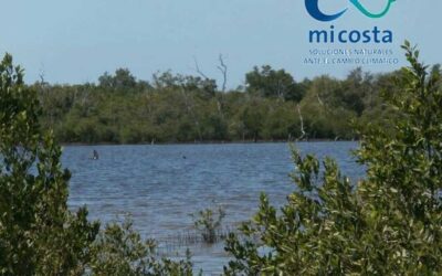 Cuba fortalece resiliencia costera con proyecto Mi Costa