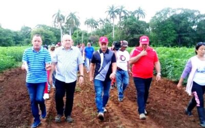 Viceministro Tapia Fonseca comprueba esfuerzos por la producción de alimentos