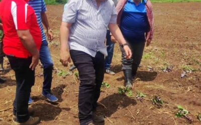 Viceministro Tapia Fonseca comprueba esfuerzos por la producción de alimentos