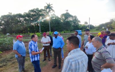 Vicepresidente cubano evidencia inversiones destinadas a fomentar siembra de arroz