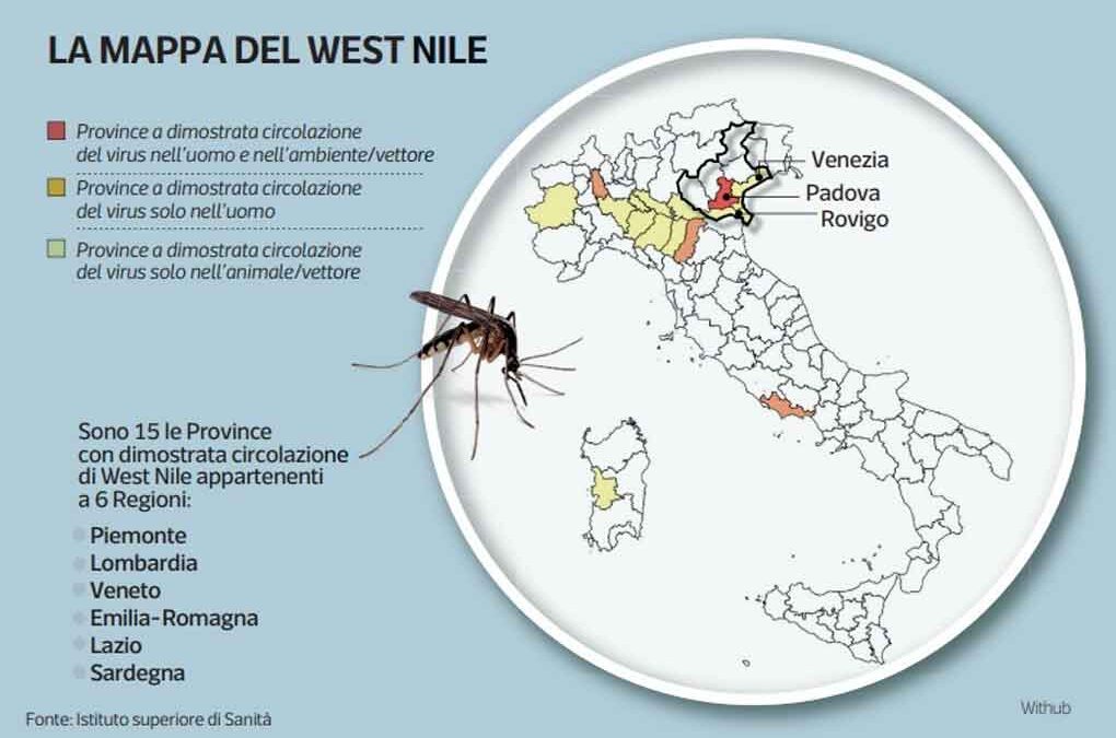 Aumentan en Italia central contagios con virus del Nilo Occidental