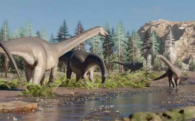 Descubren en la Patagonia argentina nueva especie de dinosaurio (+Foto)
