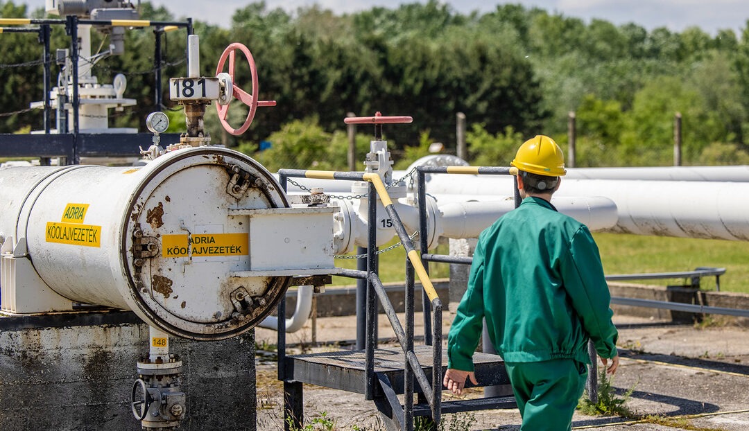 Amenazas «abiertas, groseras y descaradas»: Сrece el conflicto de Zelenski con Hungría y Eslovaquia