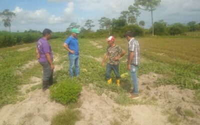 Insta Primer Secretario del Partido a lograr un área compacta a favor de la producción agrícola