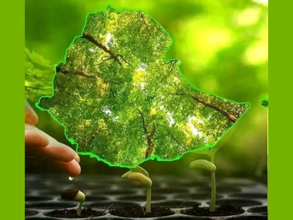 Africa-legado-verde-1