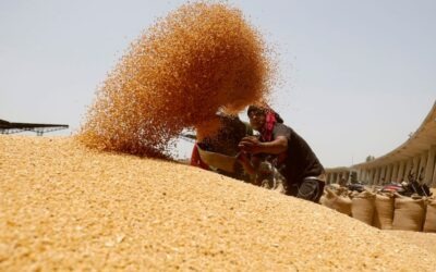 Rusia completó 119 millones de toneladas de cereales