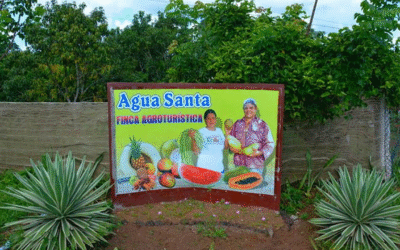 Fincas agroturísticas: semilla de desarrollo local en la Isla de la Juventud