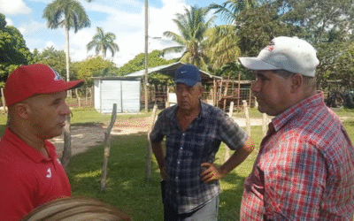Comprueba comitiva política y gubernamental pinera ceba de toro
