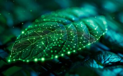 Ingeniería natural: las hojas inspiran una nueva generación de electrónica flexible
