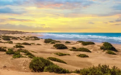 Qué ver en Agadir: 10 lugares imprescindibles y las mejores actividades