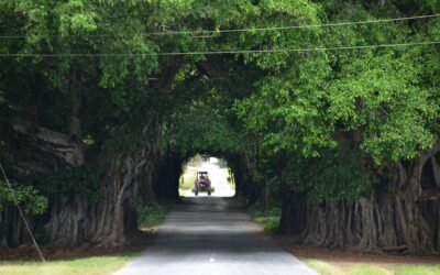 La higiene ambiental, responsabilidad de todos