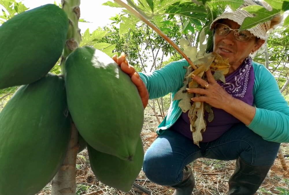 María se burla del almanaque