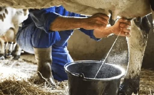 Productores-lecheros-reportan-perdidas-por-falta-de-combustible-y-bloqueos