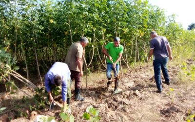 Campesinos ratifican compromiso de asegurar producciones  agrícolas