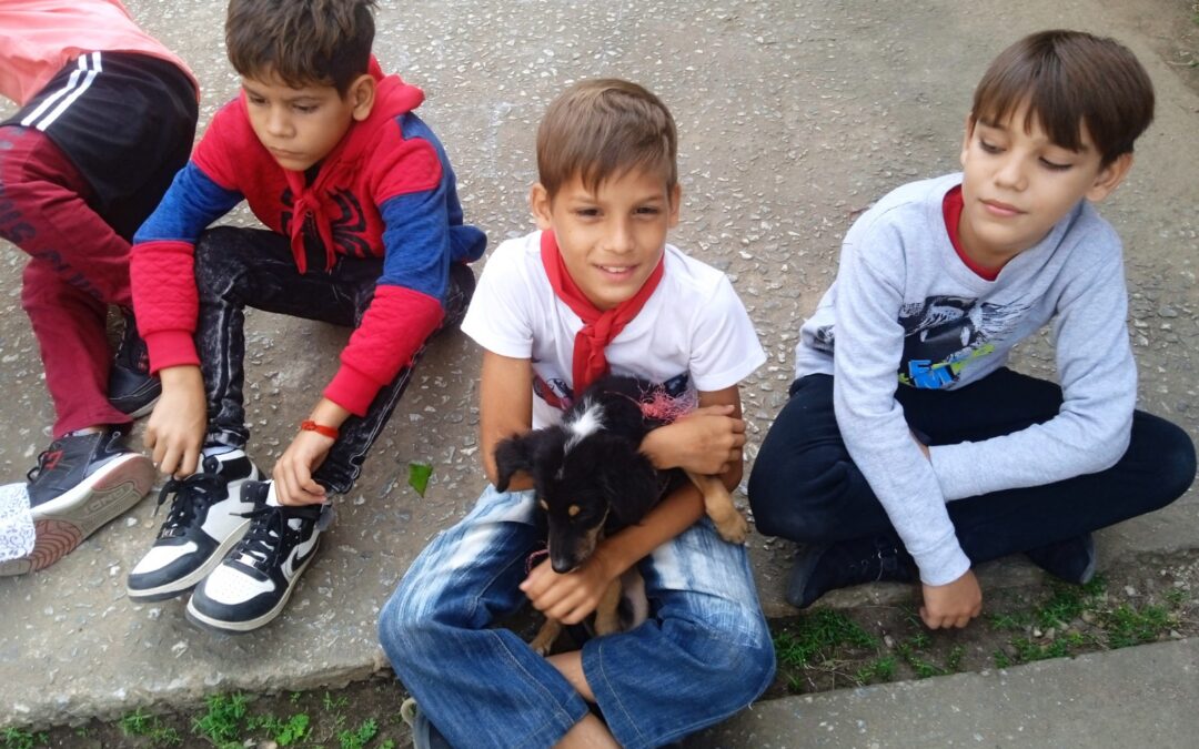 Niños pineros realizan Festival de Mascotas