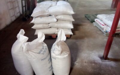 Comenzaron pruebas de molinado de arroz