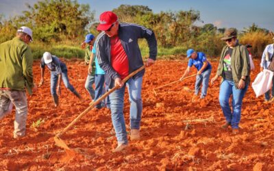 Como el Che, siempre hay espacio para el trabajo voluntario