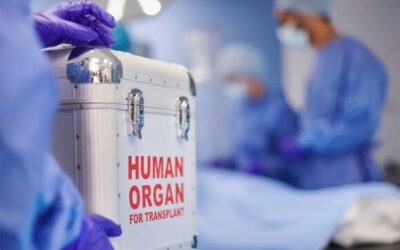 Italia superó los cuatro mil 600 trasplantes de órganos anuales