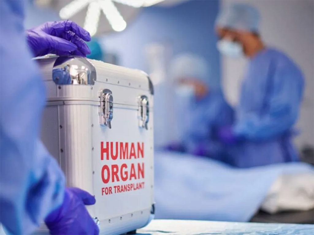 Italia-Transplante-Organos-1