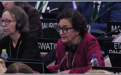 Cuba reafirma defensa de los derechos del pueblo palestino (+Foto)