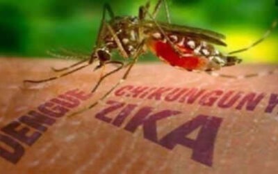 Autofocal en Casa: la fuerza silenciosa que protege la salud de todos