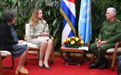 Recibe Díaz-Canel a Relatora Especial del Consejo de Derechos Humanos de la ONU