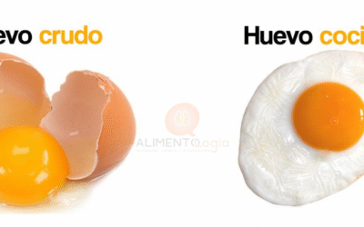 ¿El huevo crudo tiene más proteínas que el cocido?