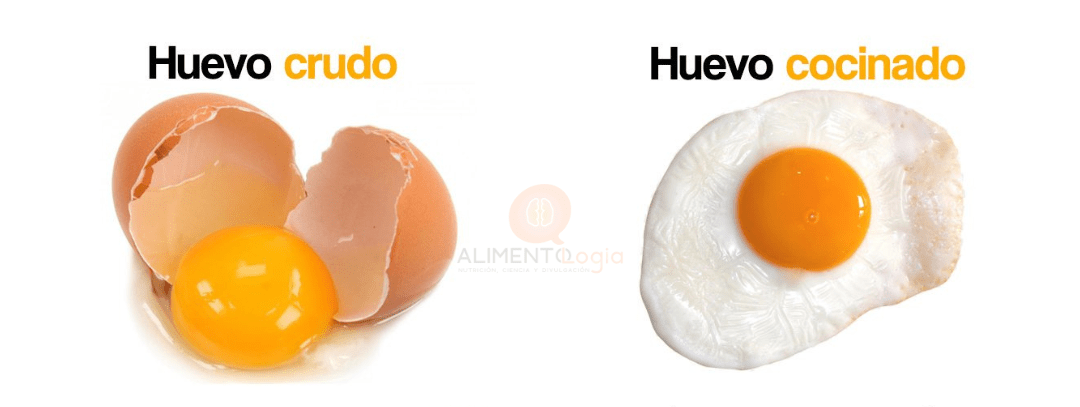 ¿El huevo crudo tiene más proteínas que el cocido?