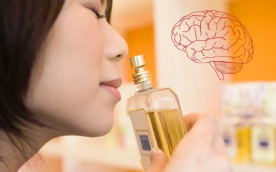 La ciencia explica por primera vez cómo el cerebro distingue entre lo que huele y lo que sentimos al oler