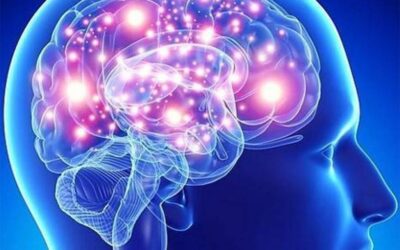 Estudio reafirma que el arte puede rejuvenecer el cerebro