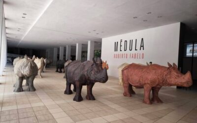 Fabelo, el arte que siempre convoca