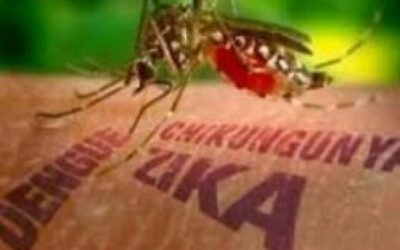 Expertos informaron sobre evolución de arbovirus en Cuba