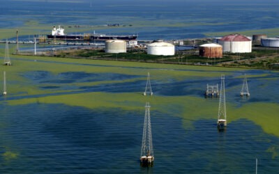 Trump: Venezuela «entregará» a EE.UU. decenas de millones de barriles de petróleo