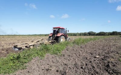 Insta Primer Secretario del Comité Municipal del Partido en la Isla de la Juventud a priorizar programa arrocero