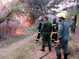 Refuerzan acciones Cuerpo de Guardabosques para evitar incendios forestales