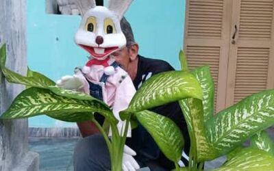 Pepe Pantoja: la carreta que le enseñó a soñar a la Isla