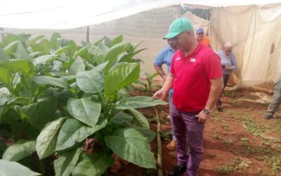 Intercambio fructífero de dirigentes pineros con productores líderes en la batalla por la soberanía Alimentaria