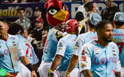 Líder Cardenales atento a juegos de hoy en béisbol venezolano