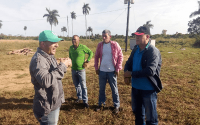 Reconocimiento por su valía y aportes al pueblo
